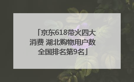 京东618带火四大消费 湖北购物用户数全国排名第9名